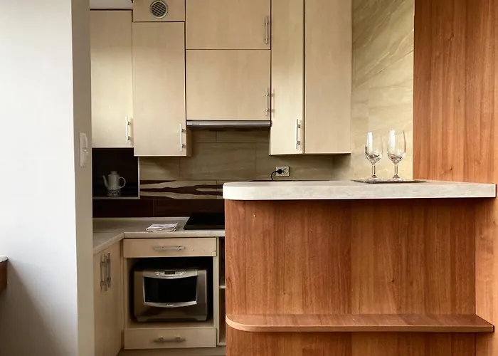 Apartment Przy Rynku Z Garazem